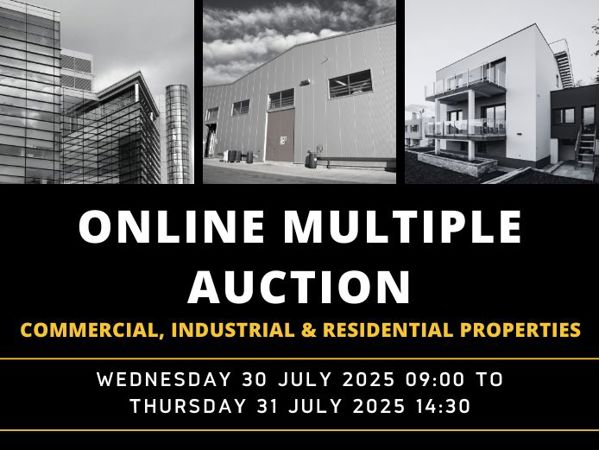 ONLINE MULTIPLE AUCTION 30 & 31 JULY 2025